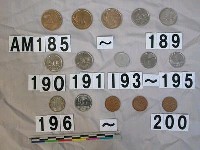 藏品(比利時五十法朗硬幣)的圖片